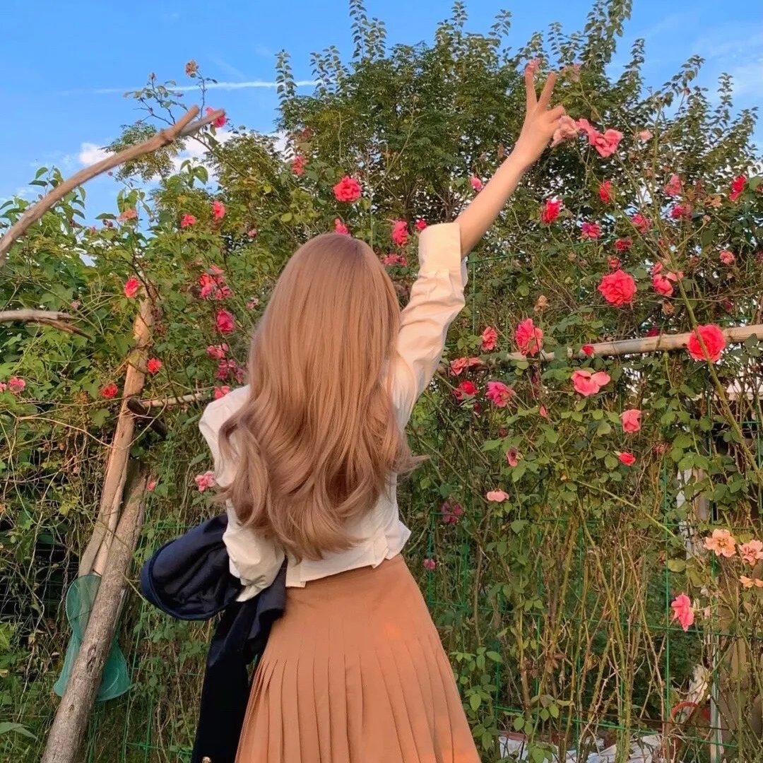 我们队伍向太阳