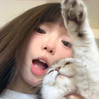 我的新拍档